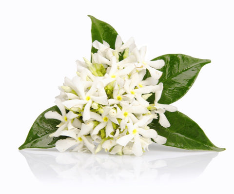 No 24. NEROLI ABSOLUTE - scent (contains essential oils)