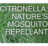 OUTDOOR SCENTS - CITRONELLA